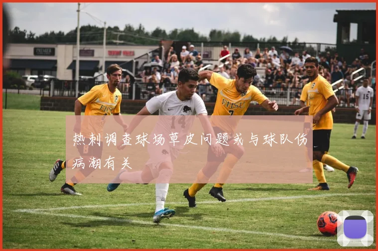热刺调查球场草皮问题或与球队伤病潮有关