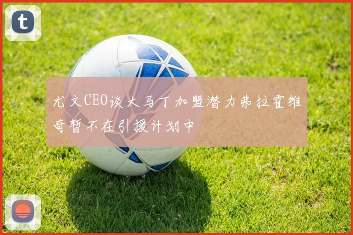 尤文CEO谈大马丁加盟潜力弗拉霍维奇暂不在引援计划中