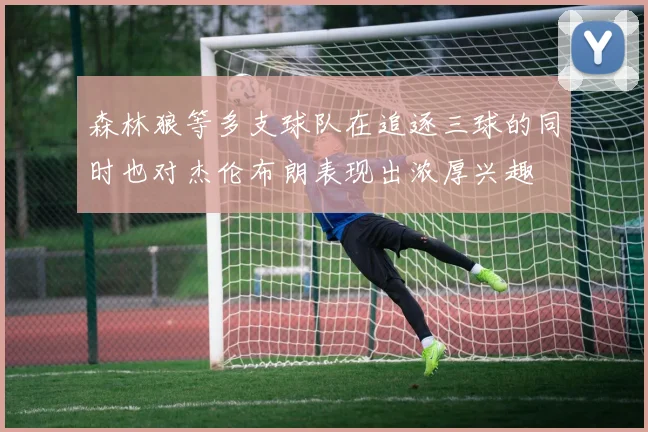 森林狼等多支球队在追逐三球的同时也对杰伦布朗表现出浓厚兴趣